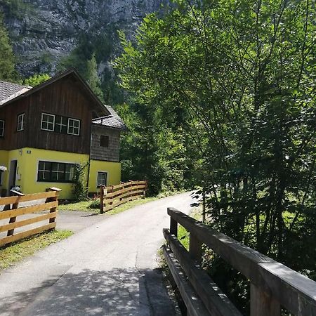 Villa Haus Waldbach Hallstatt Exterior foto