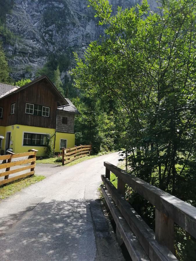 Villa Haus Waldbach Hallstatt Exterior foto